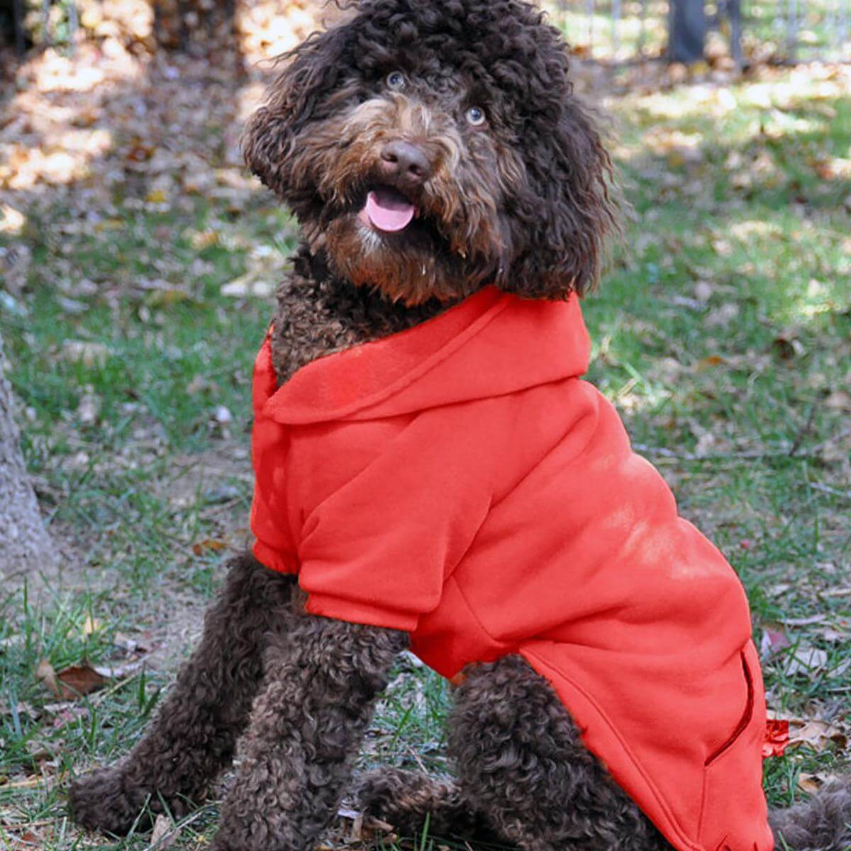 Stay Warm And Stylish With Our Hoodies For Dogs