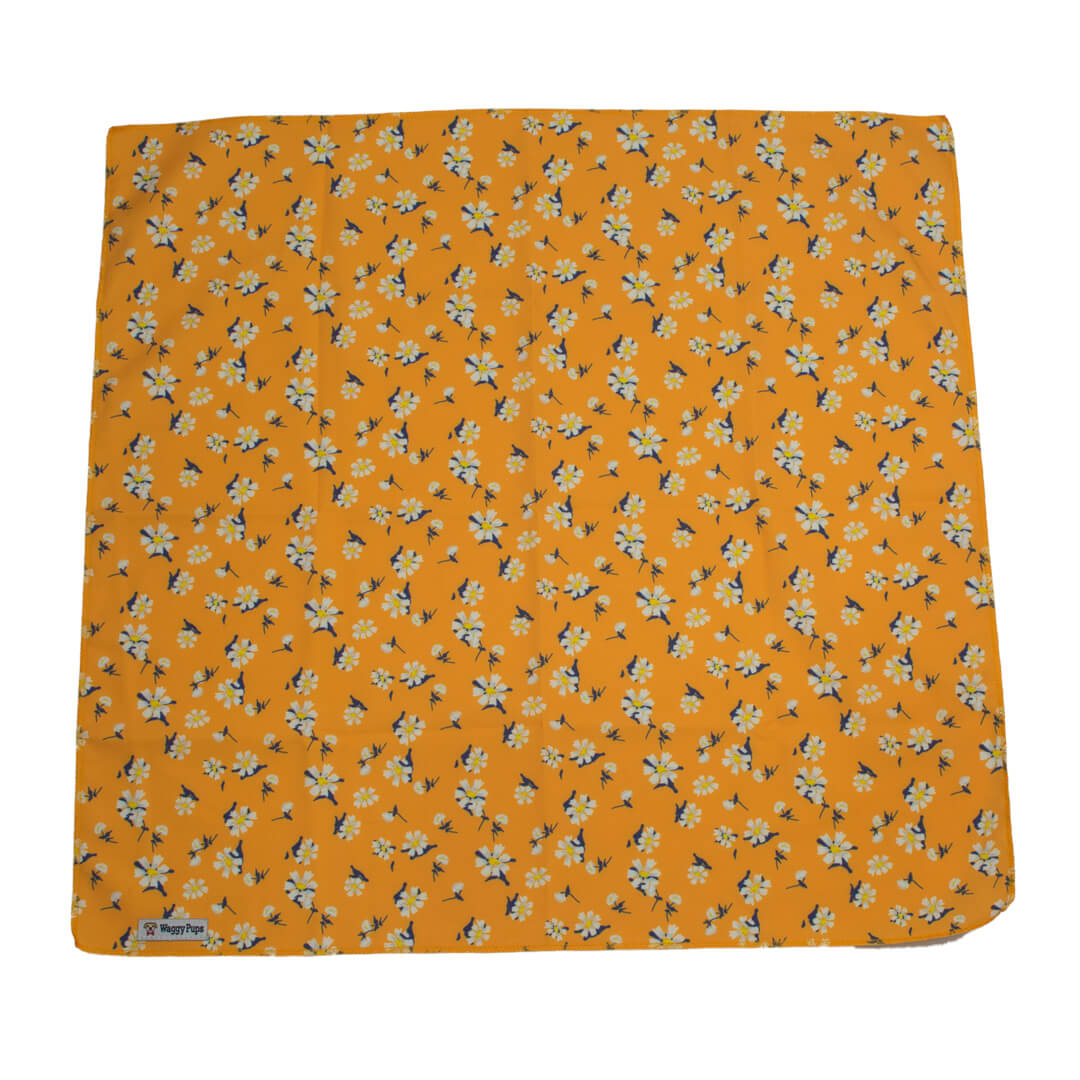 Apricot Daisy Dog Bandana - Waggy Pups