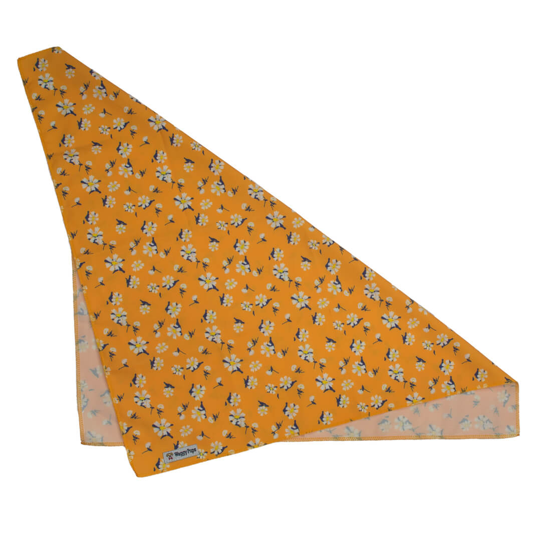Apricot Daisy Dog Bandana - Waggy Pups