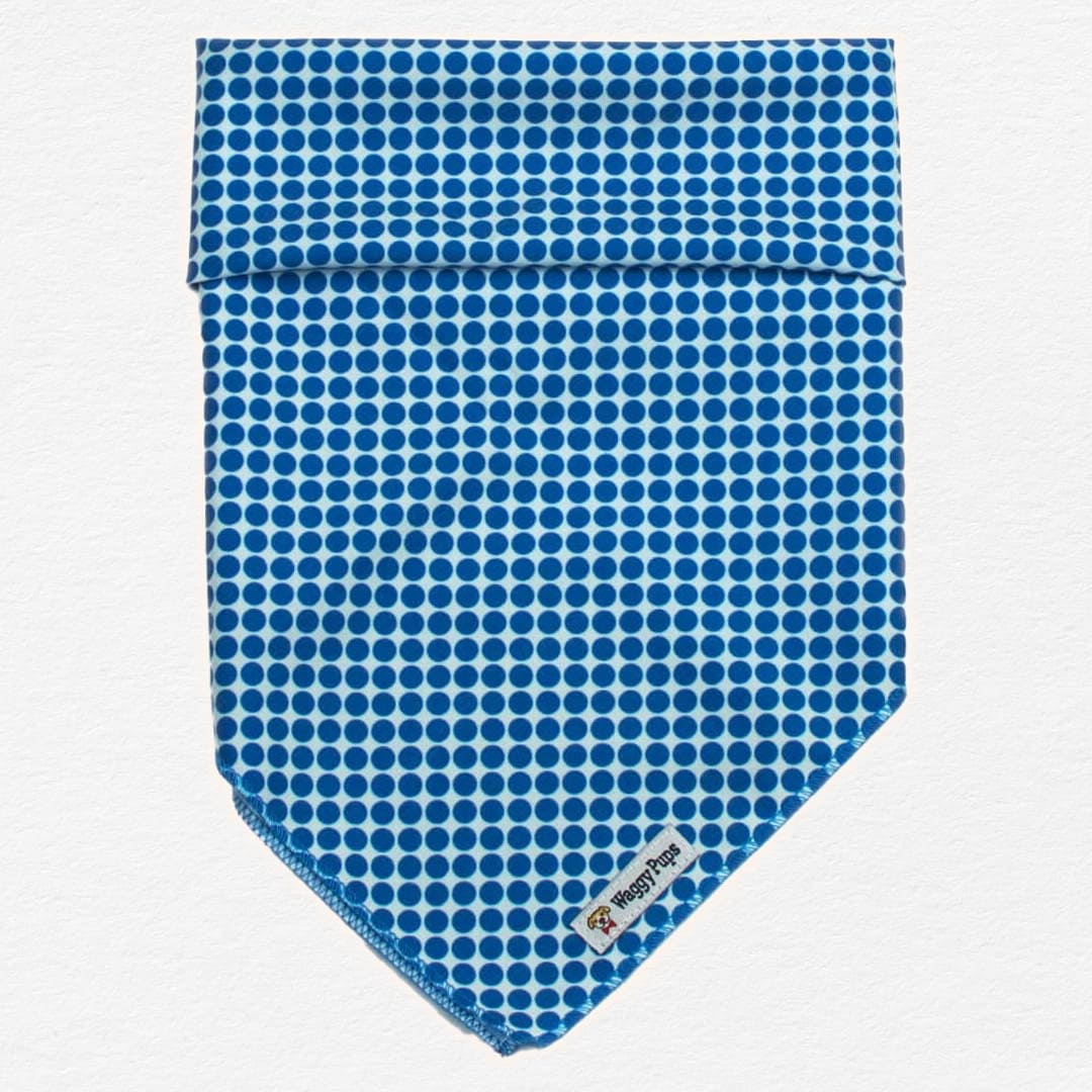 Berry Polka Dot  Dog Bandana