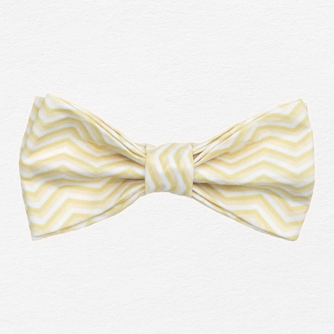 Butterscotch Chevron Dog Bow Tie Collar