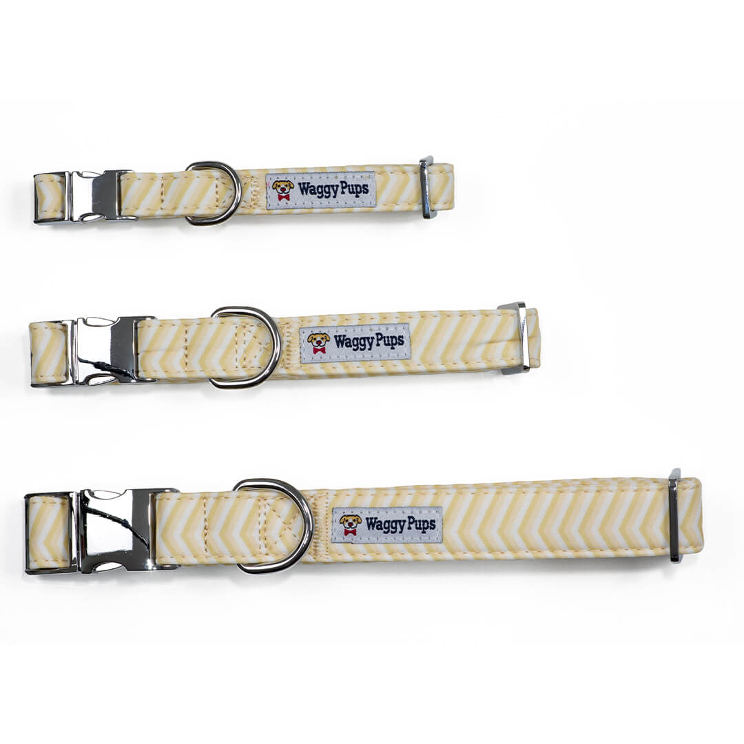 Butterscotch Chevron Dog Collar - Waggy Pups