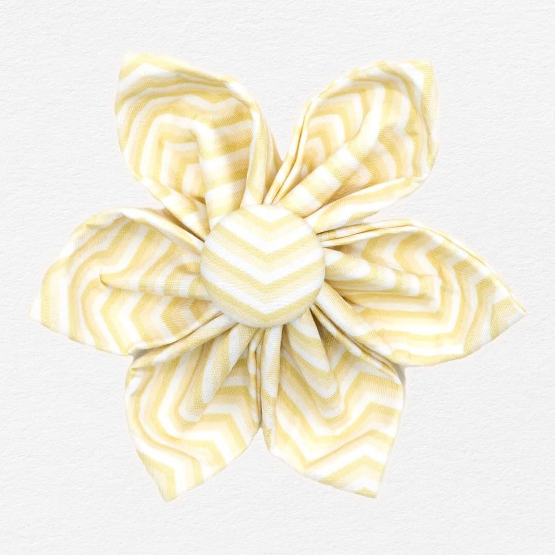 Butterscotch Chevron Dog Flower Collar