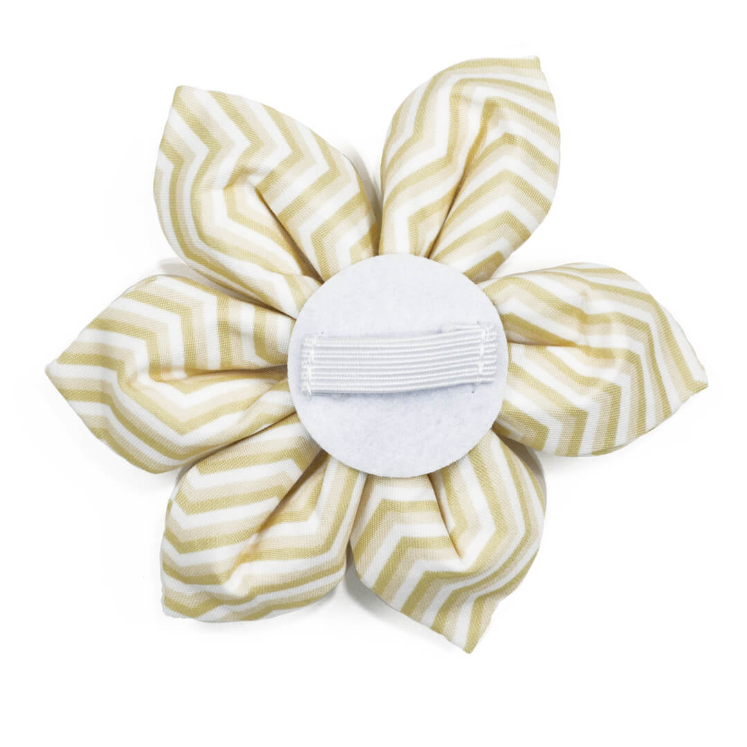Butterscotch Chevron Dog Flower - Waggy Pups