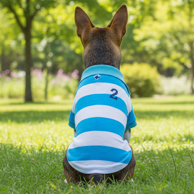 Blue Stripe Dog Polo