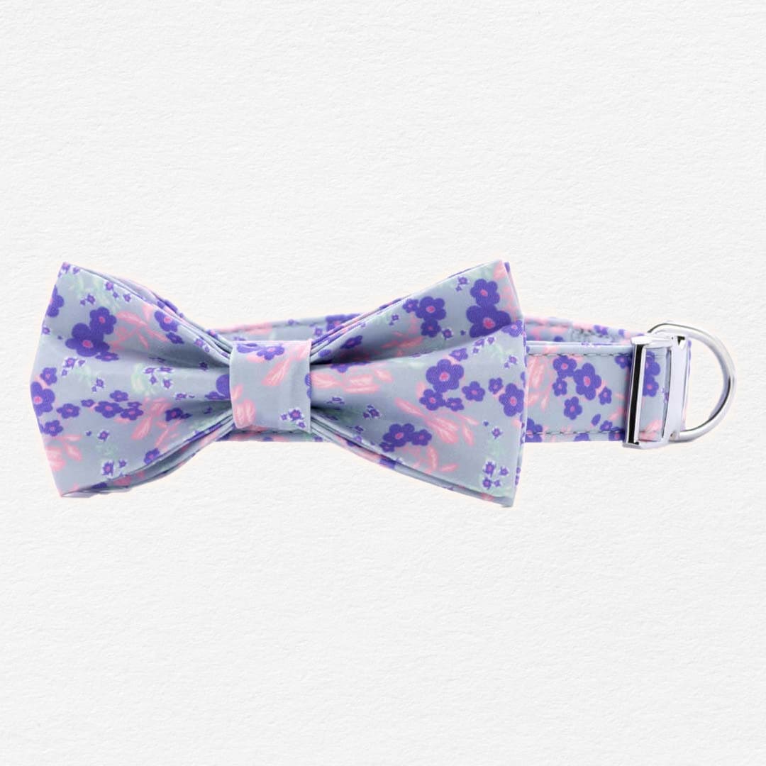 Cerulean Violets Dog Bow Tie Collar