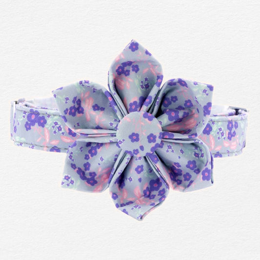Cerulean Violets Dog Flower Collar