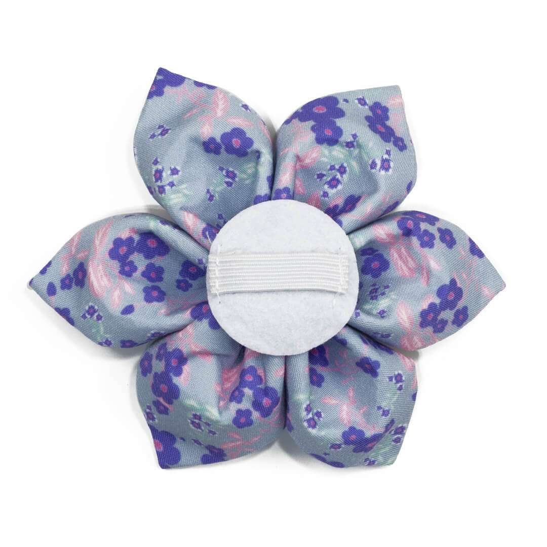 Cerulean Violets Dog Flower - Waggy Pups