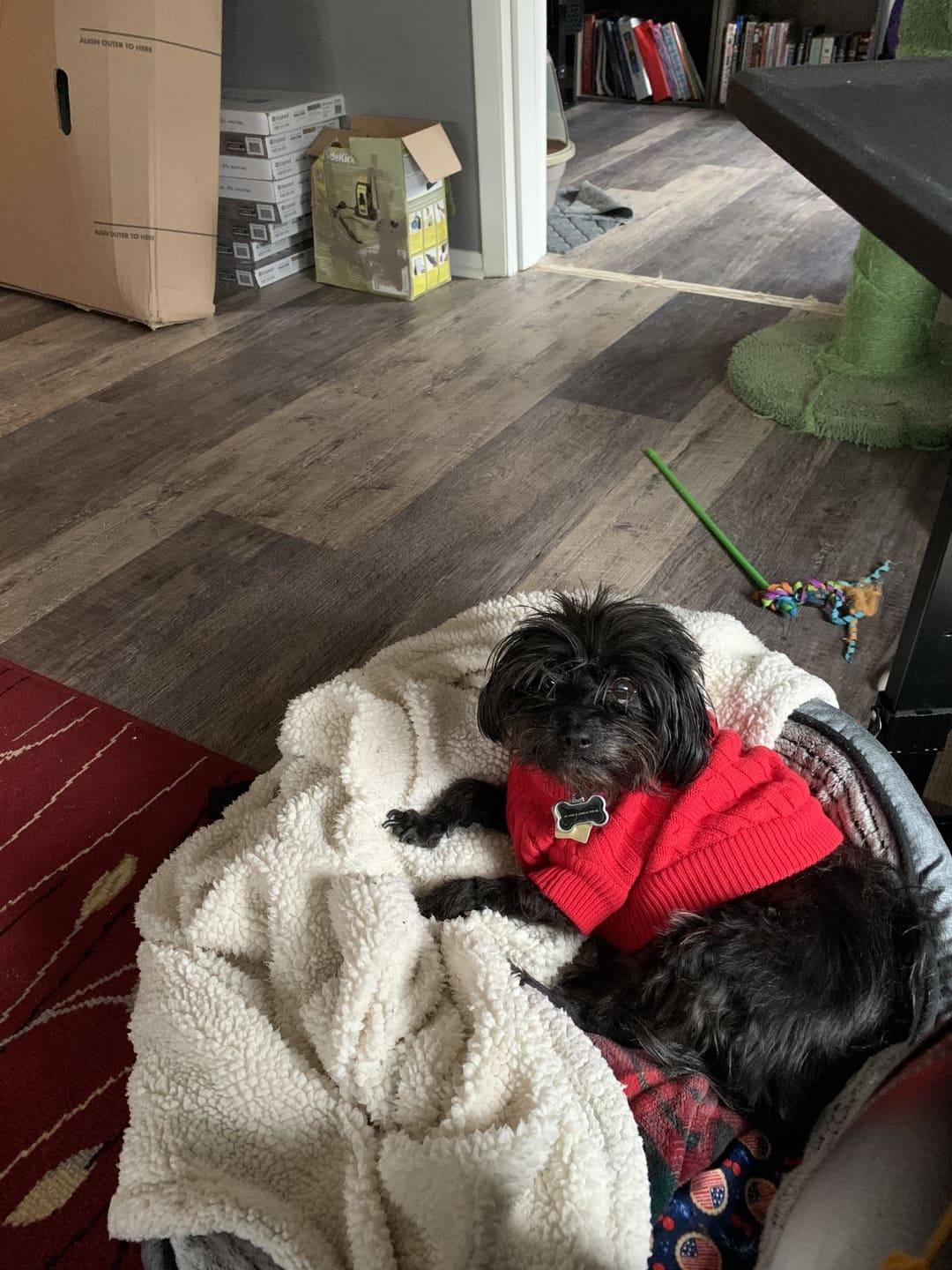 Fiery Red Combed Cotton Cable Knit Dog Sweater