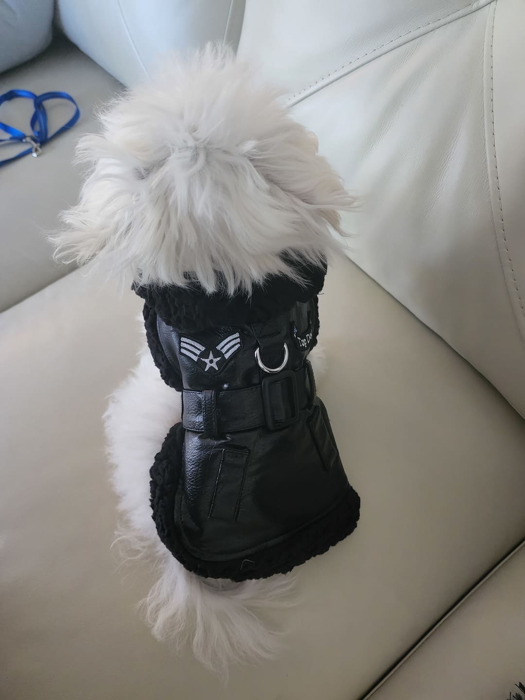 Top Dog Classic Bomber Dog Coat