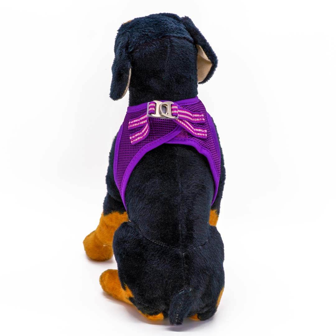 Dogonet Purple Dog Harness