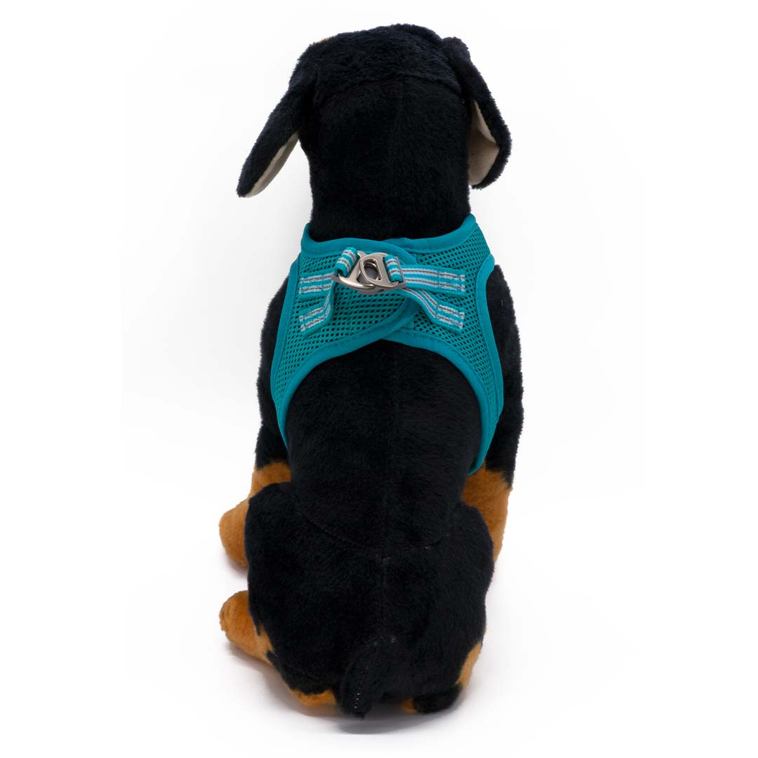 Dogonet Teal Dog Harness