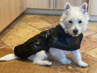 Thumbnail for Top Dog Classic Bomber Dog Coat