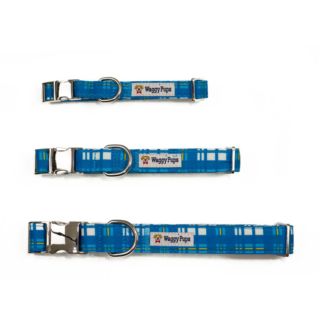 Newport Plaid Dog Collar - Waggy Pups