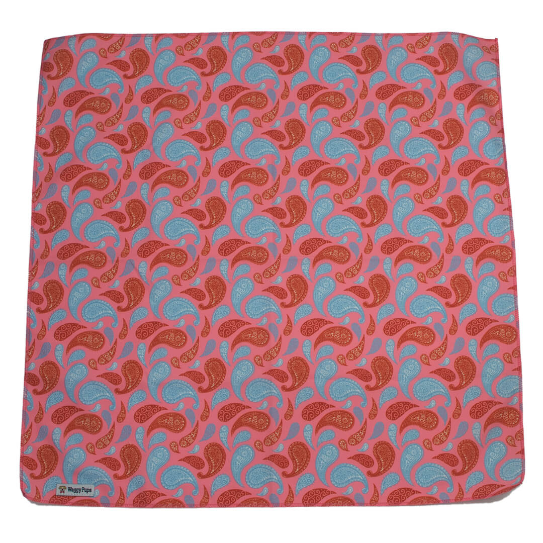 Paisley Taffy Dog Bandana - Waggy Pups