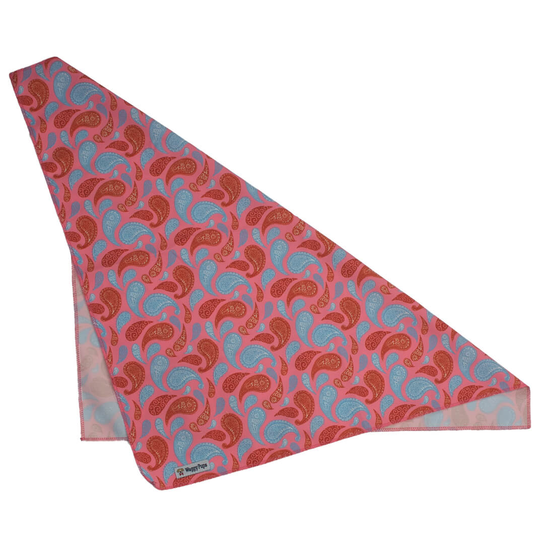 Paisley Taffy Dog Bandana - Waggy Pups