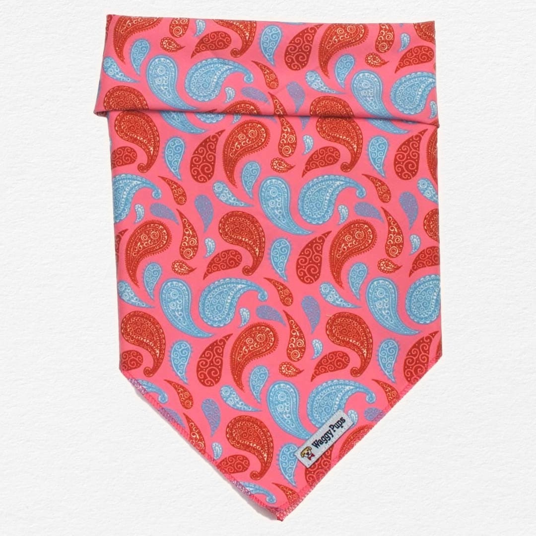 Paisley Taffy Dog Bandana