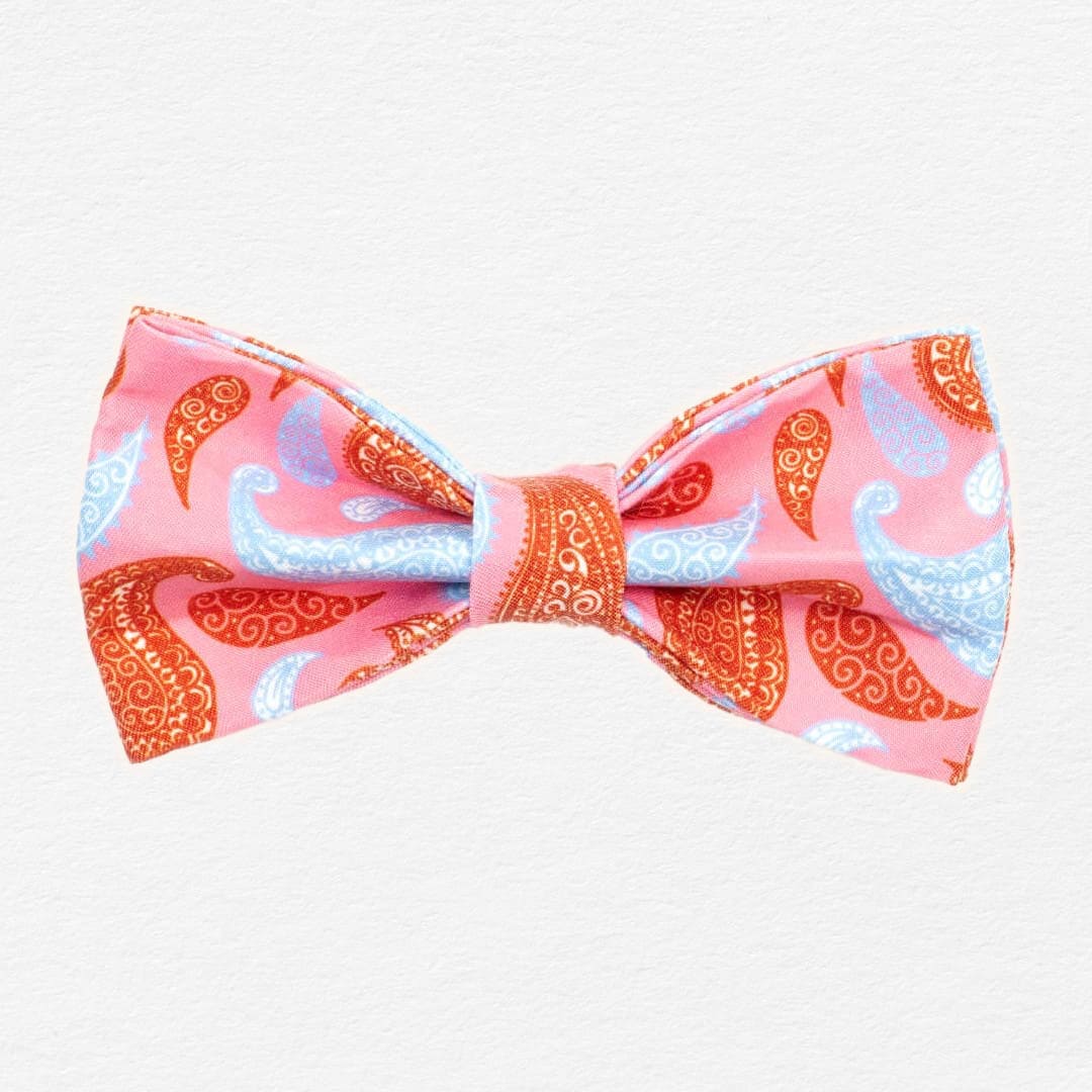 Paisley Taffy Dog Bow Tie Collar
