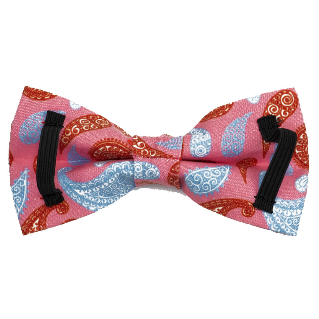 Paisley Taffy Dog Bow Tie - Waggy Pups