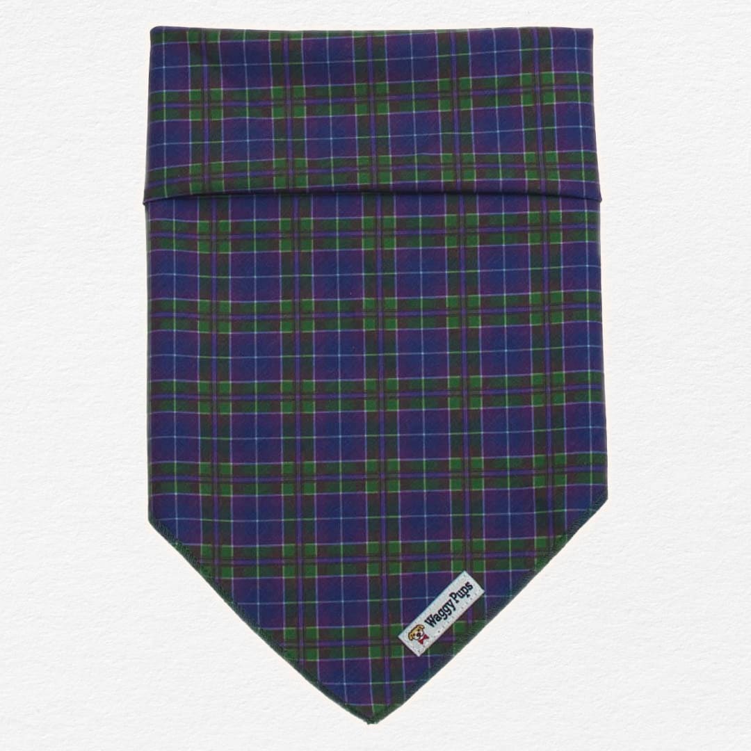 Peacock Plaid Dog Bandana