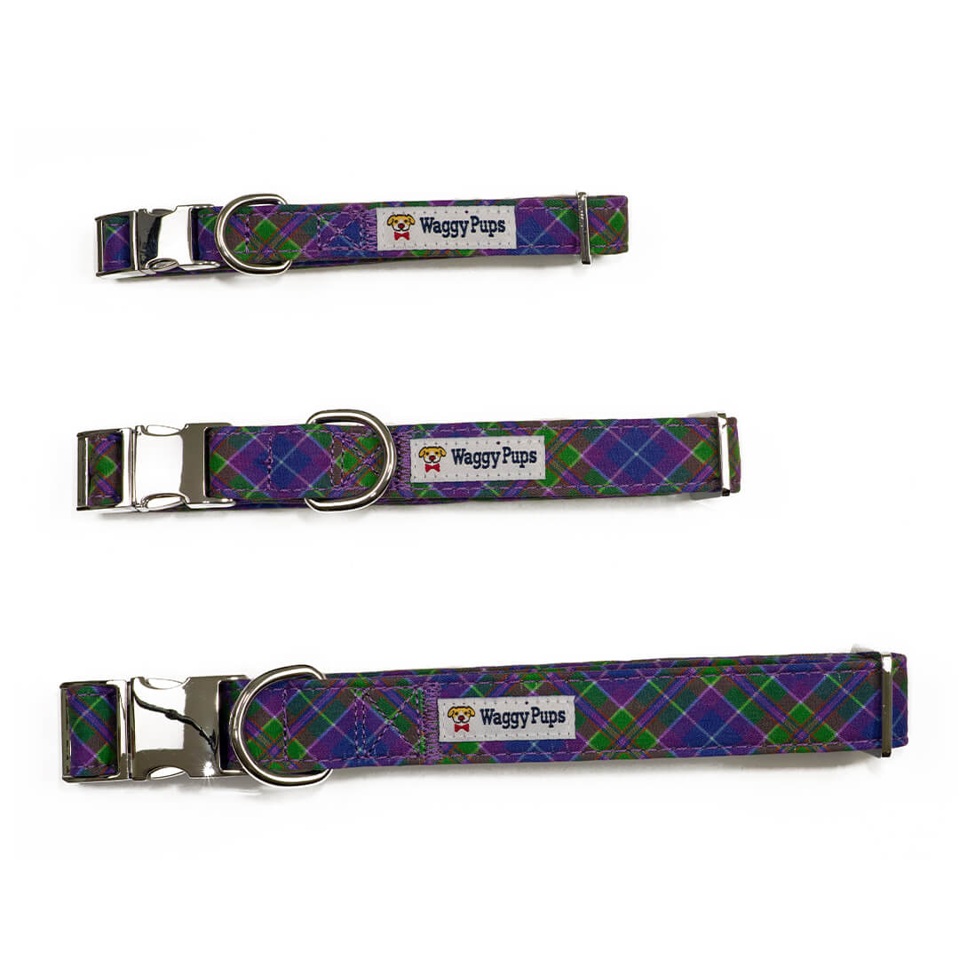 Peacock Plaid Dog Collar - Waggy Pups