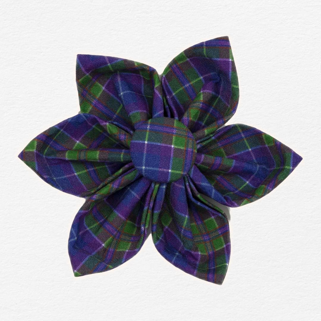 Peacock Plaid Dog Flower Collar