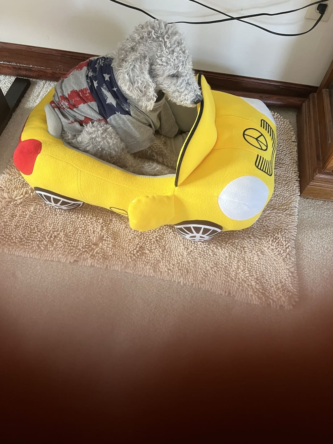 America's Pup Flag Print Dog T Shirt