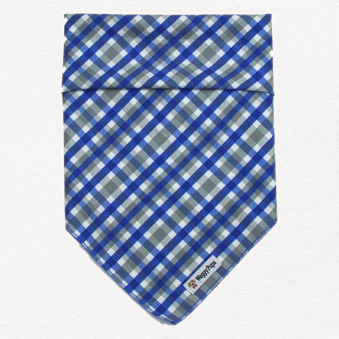 Sapphire Stone Plaid Dog Bandana