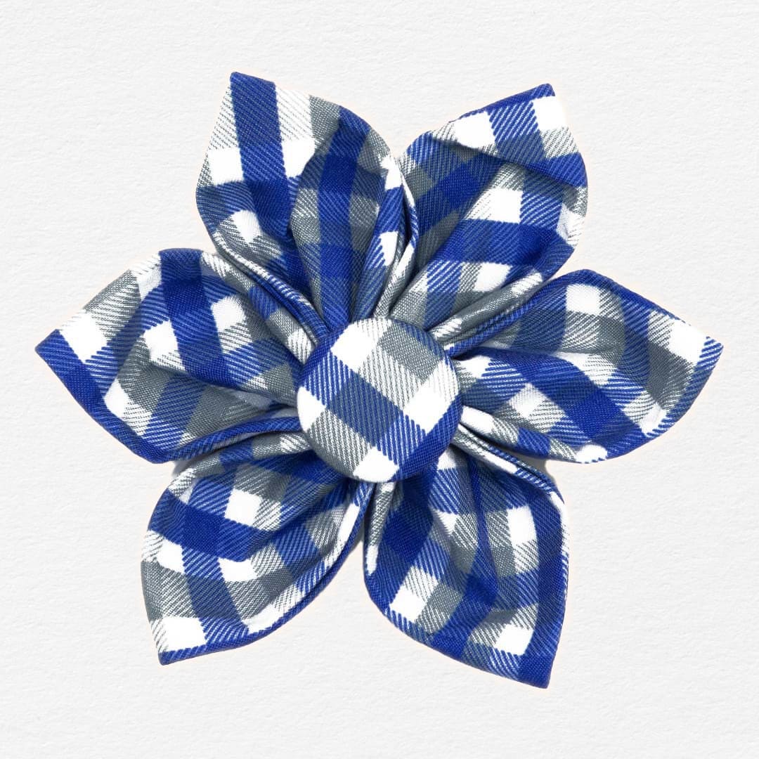 Sapphire Stone Dog Flower Collar