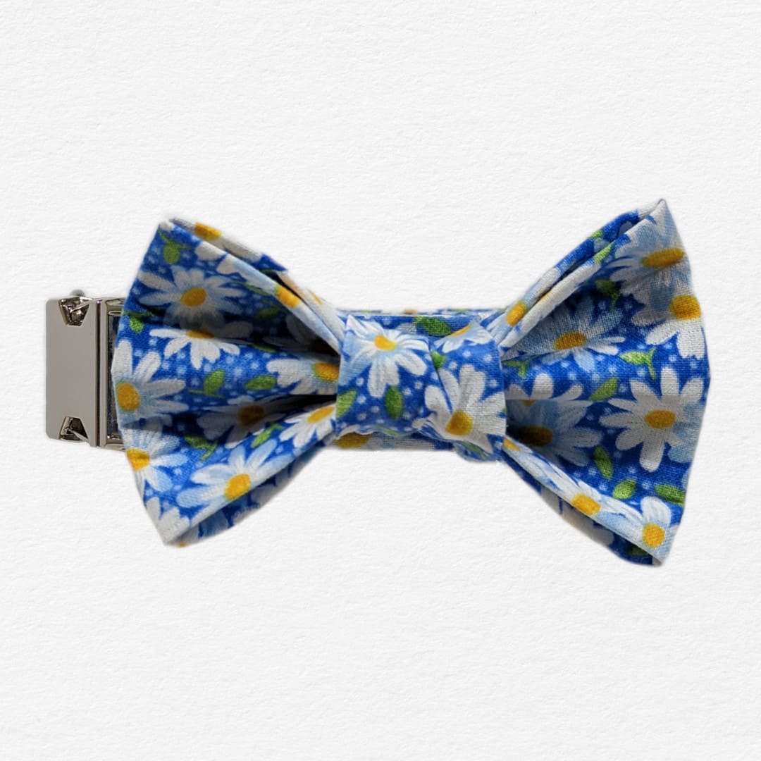 Blue bow tie outlet dog collar