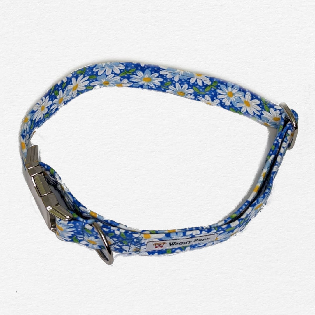 Sky Blue Daisy Dog Collar