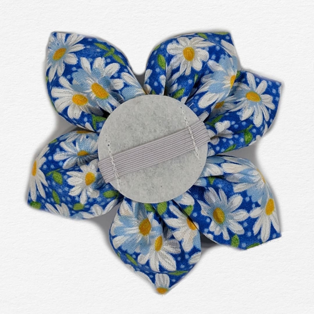 Sky Blue Daisy Dog Flower