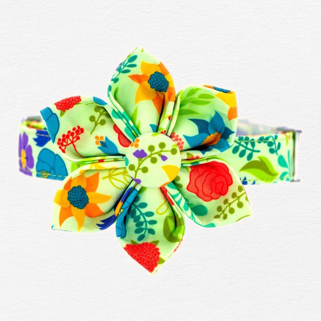 Vibrant Bouquet Dog Flower Collar