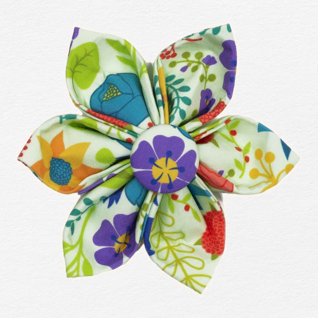 Vibrant Bouquet Dog Flower Collar