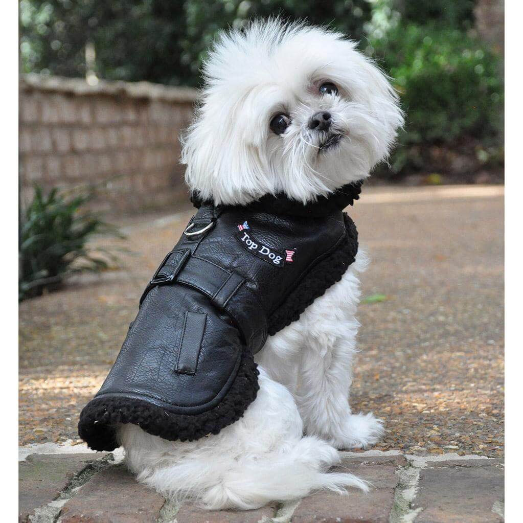 Top Dog Classic Bomber Sherpa with Matching Leash - Waggy Pups