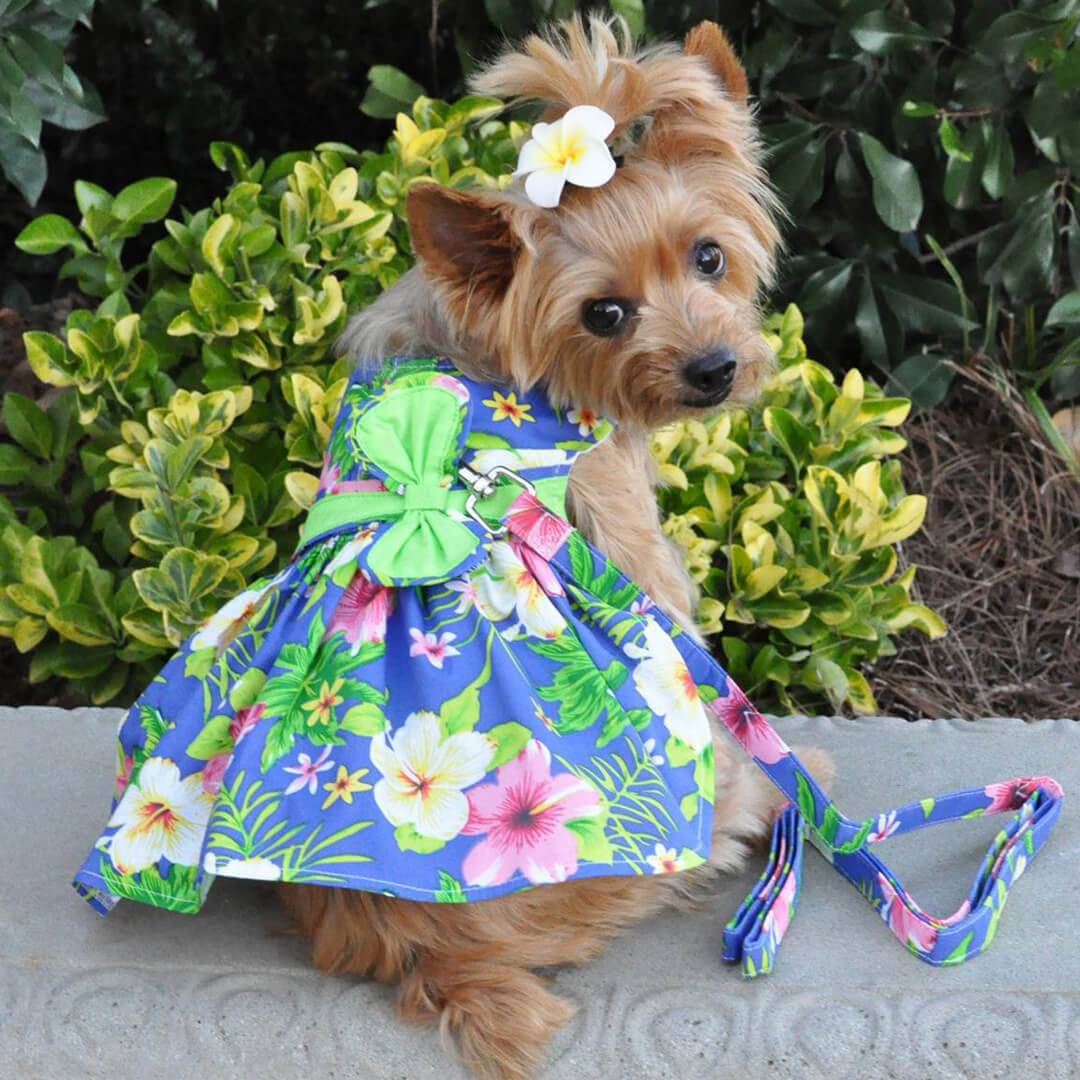 Blue Hibiscus Dog Dress with Matching Leash