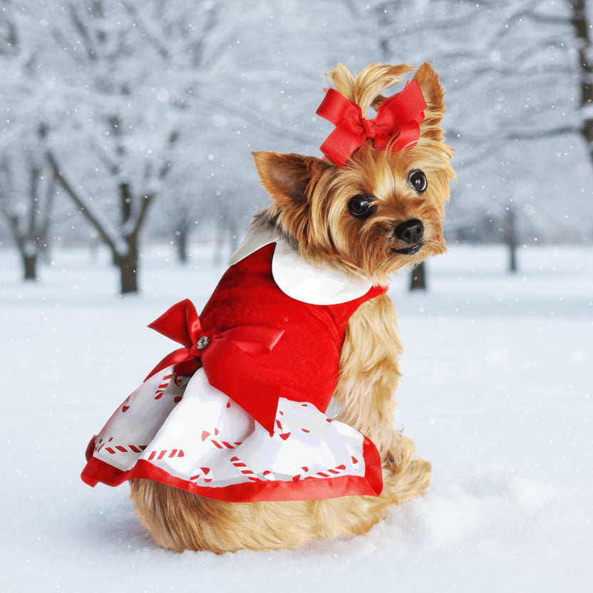 American River Choke Free Dog Harness-Candy Canes American River Choke Free Dog Harness-Candy Canes