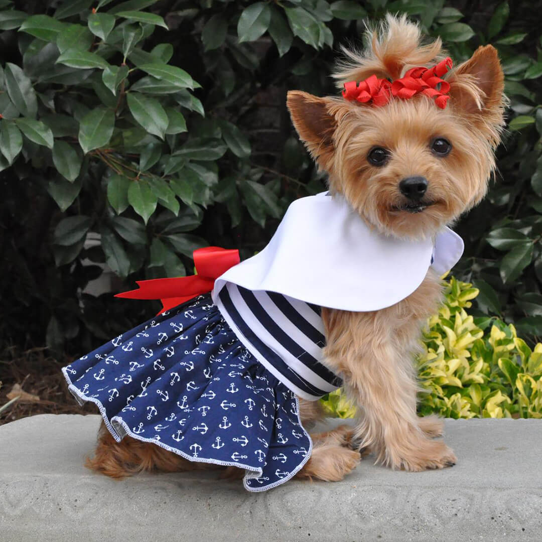 Nautical Dog Dress with Matching Leash