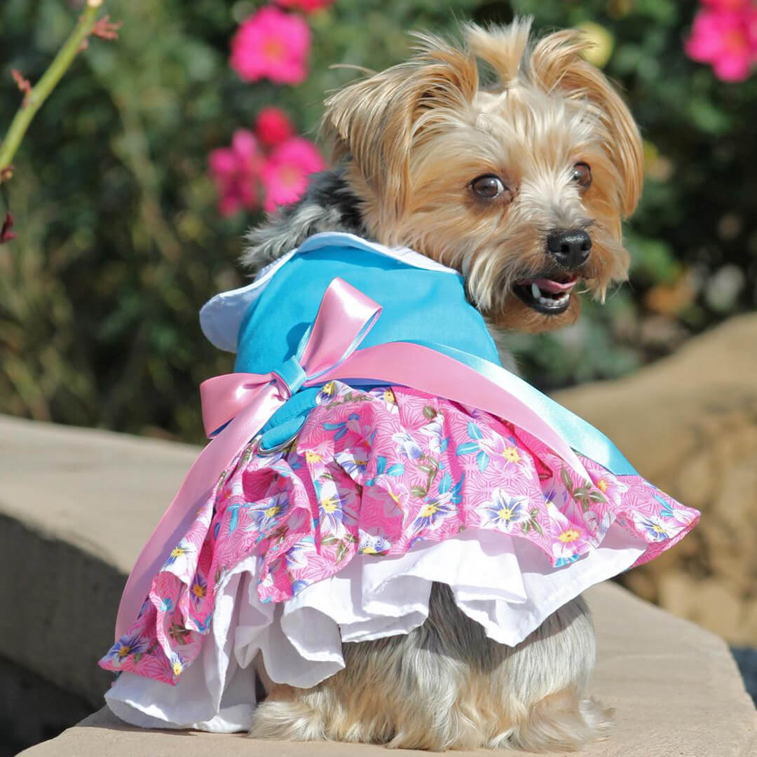 Pink and Blue Plumeria Dog Dress with Matching Leash