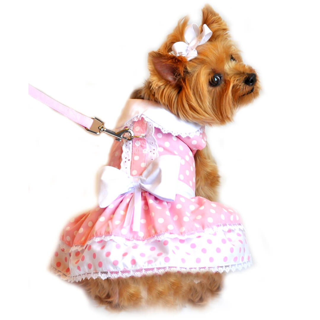 Pink Polka Dot and Lace Dog Dress with Matching Leash