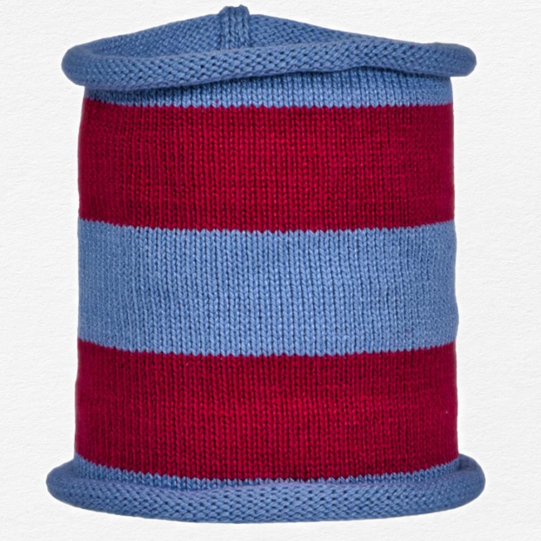 Glaucous Raspberry Stripe Cotton Dog Snoodie