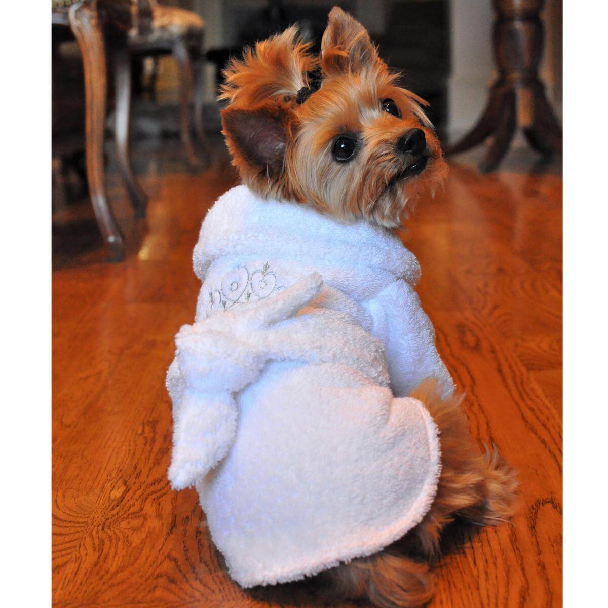 Silver Tiara Cotton Dog Bathrobe - Waggy Pups