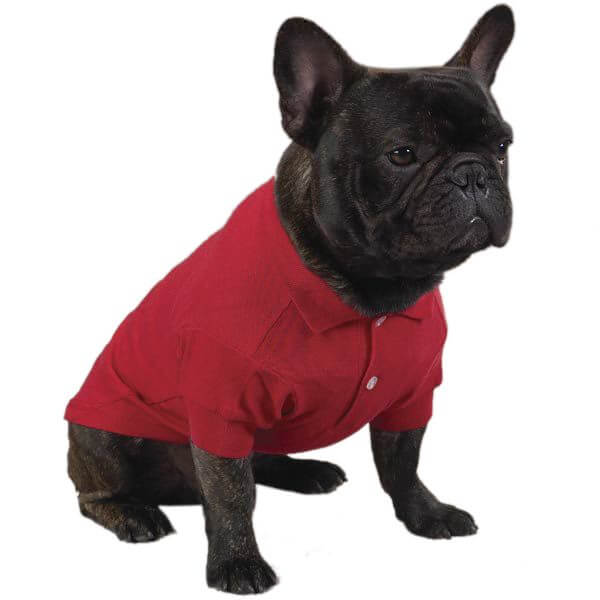 Tomato Red Dog Polo Shirt