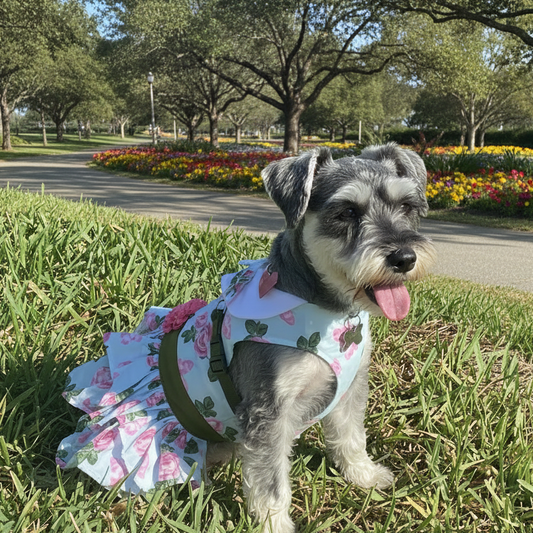 Pink Rose Dog Dress with Matching Leash