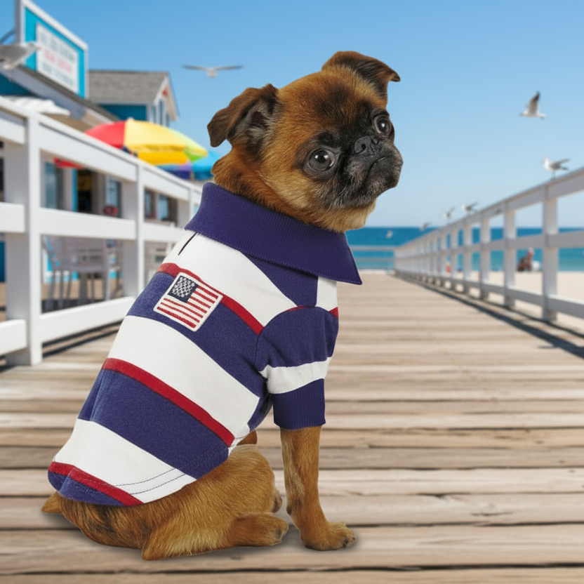 Dog wearing a striped shirt on a wooden pier by the beach