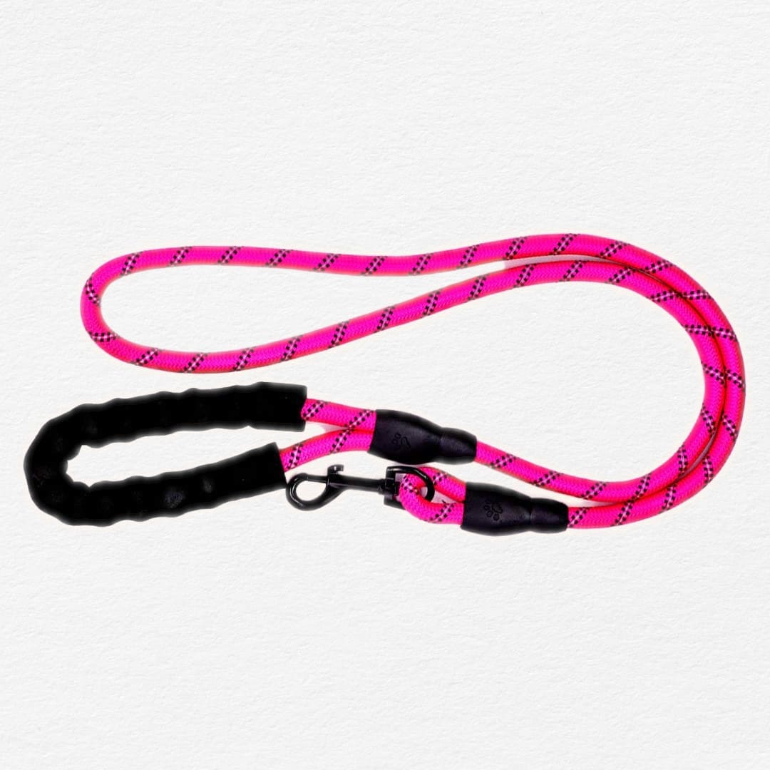 Dogonet 5ft Pink Reflective Rope Dog Leash