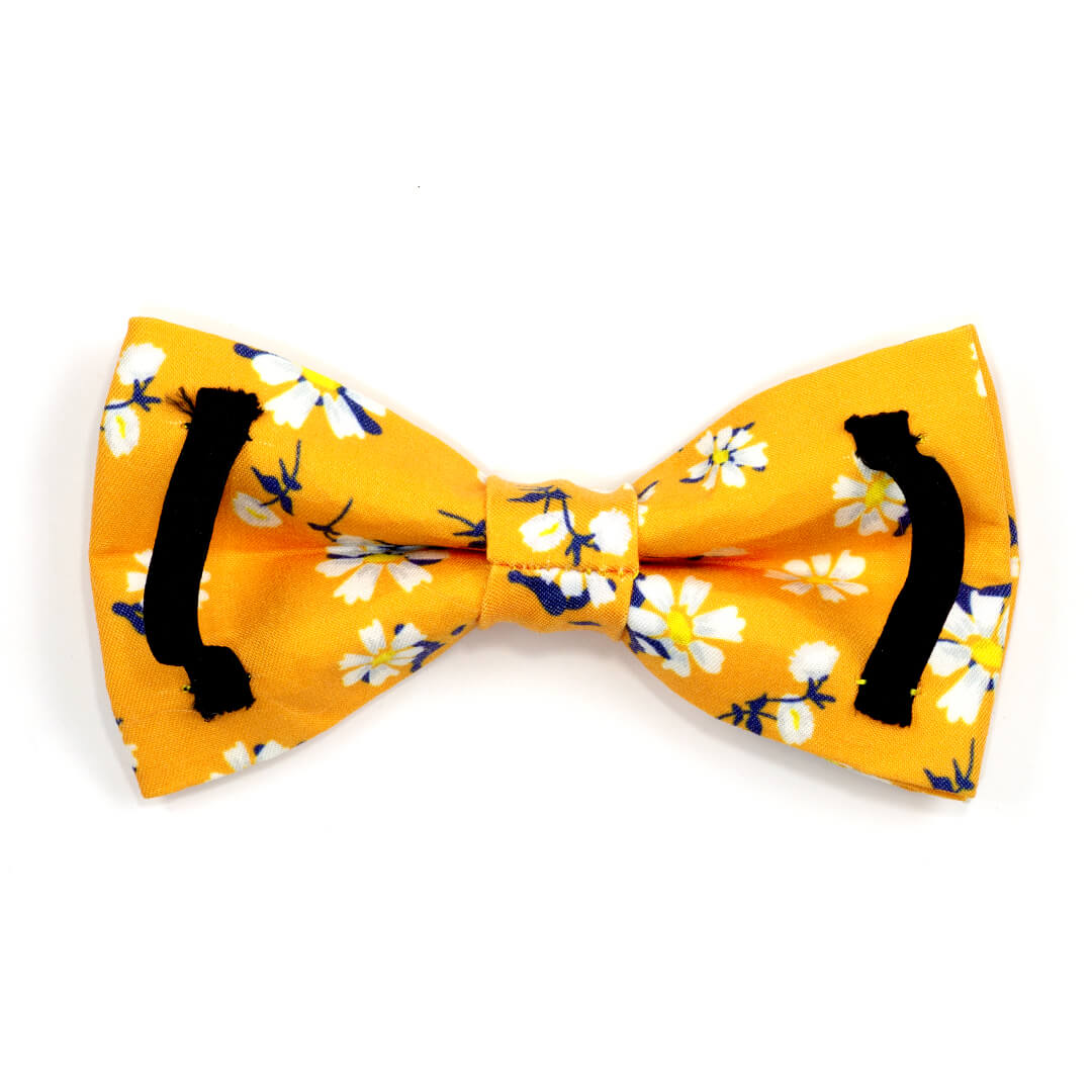 Apricot Daisy Dog Bow Tie - Waggy Pups