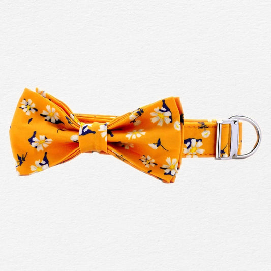 Apricot Daisy Dog Bow Tie Collar