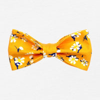 Thumbnail for Apricot Daisy Dog Bow Tie
