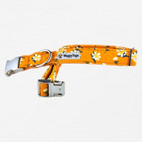 Thumbnail for Apricot Daisy Dog Collar